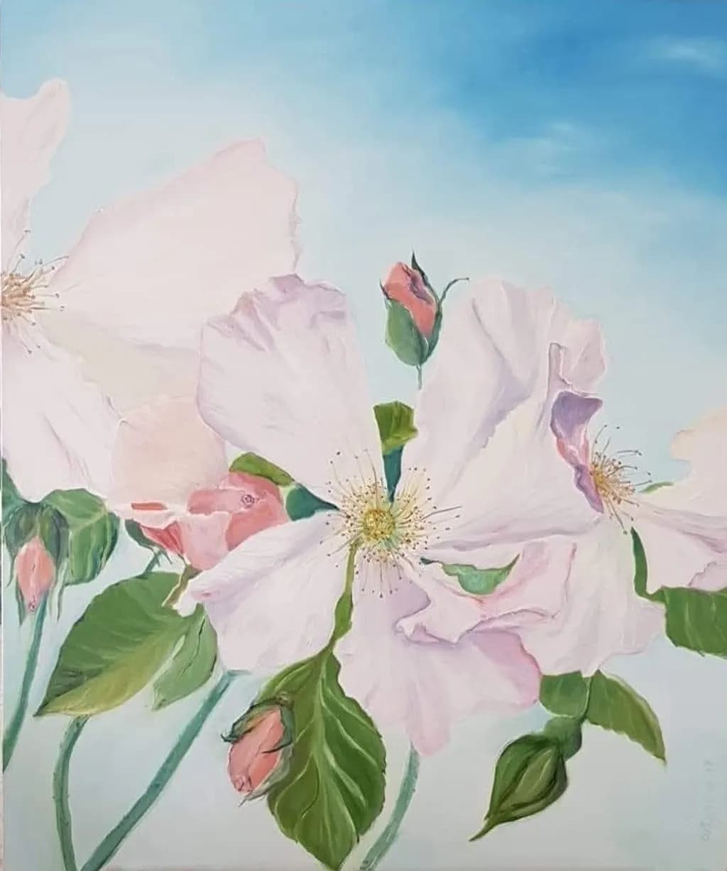 David Austin Roses