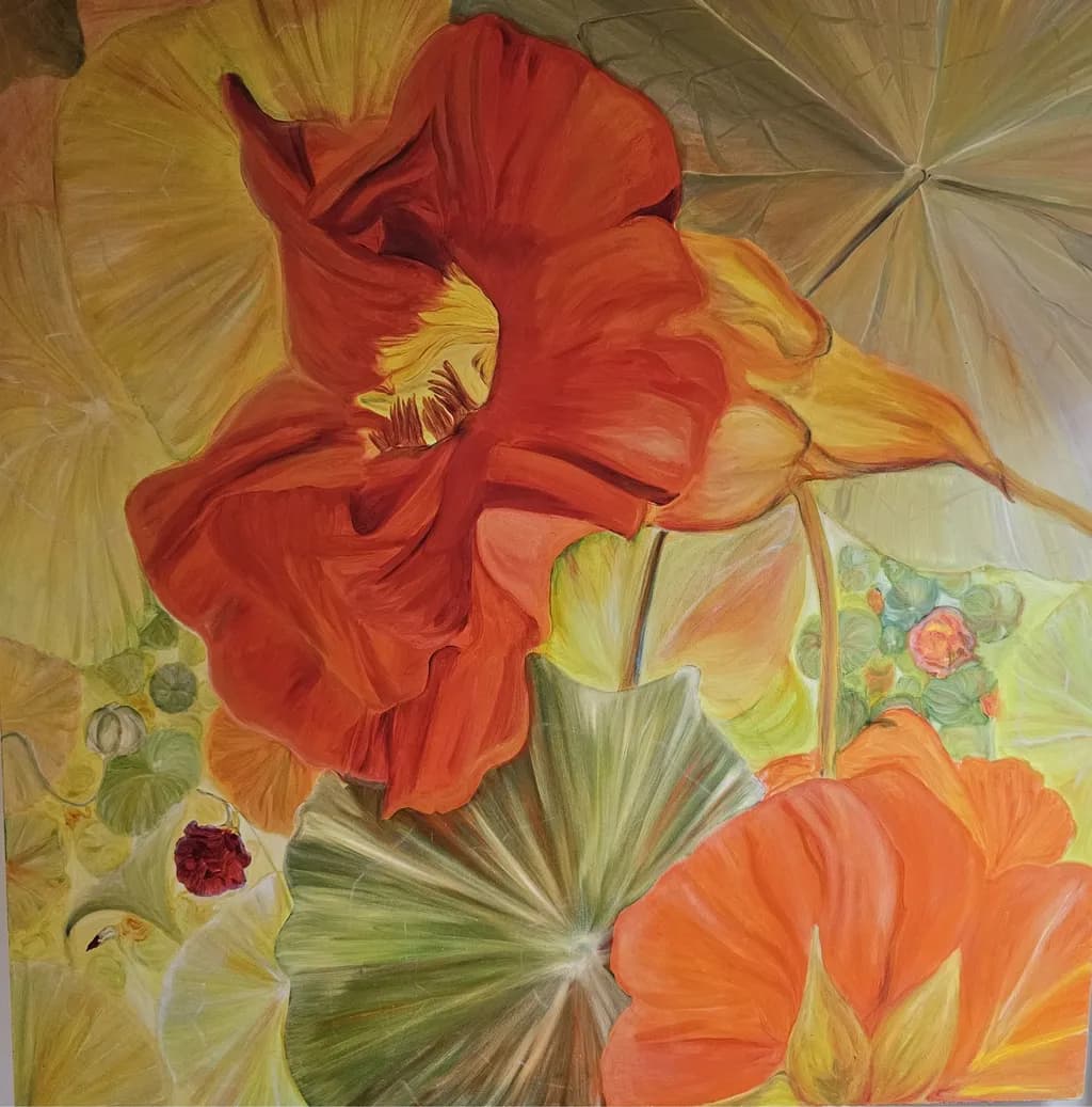 Nasturtium Study