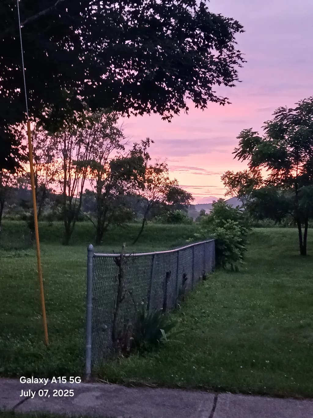 Garden at Pink Dusk