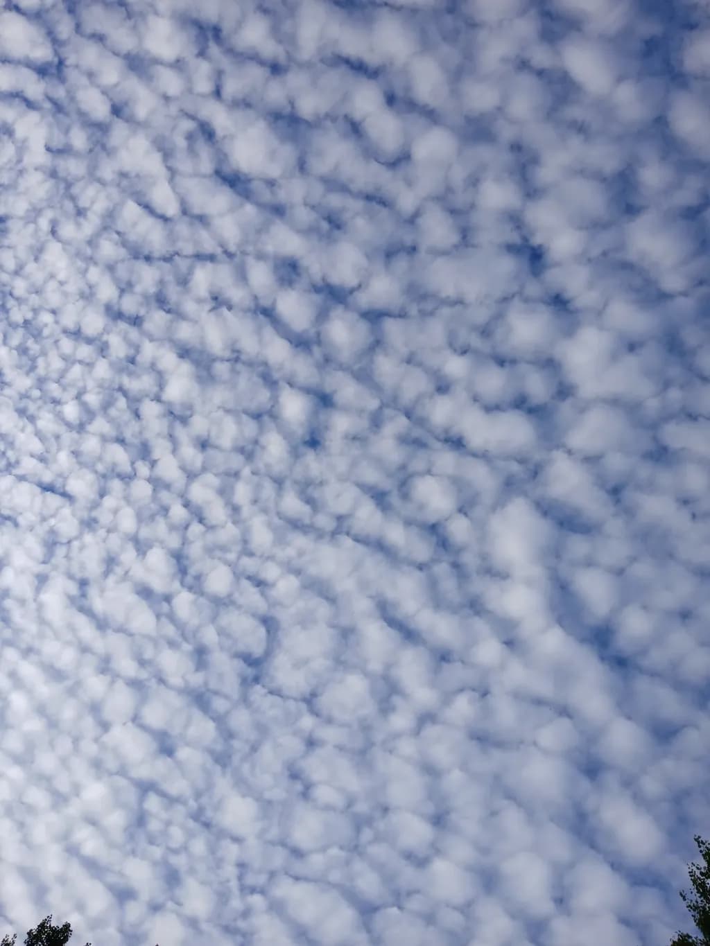 Clouds in Blue