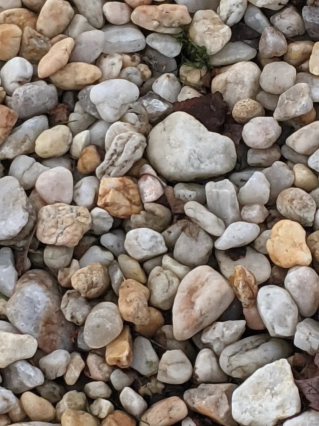 Riverbed Pebbles