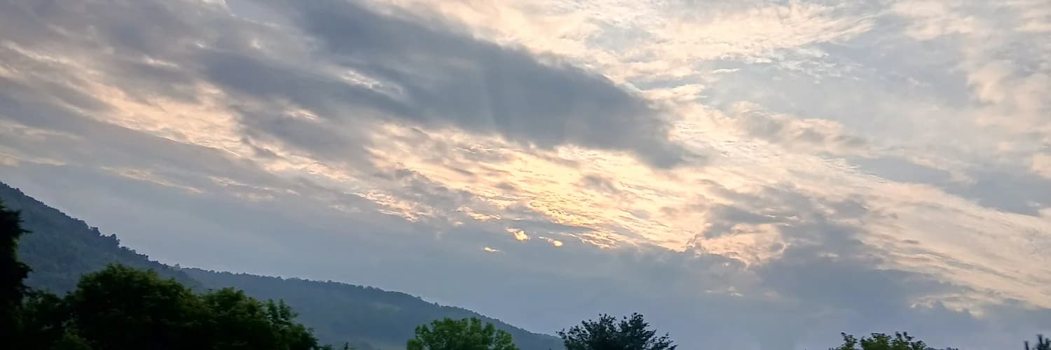 Profile banner