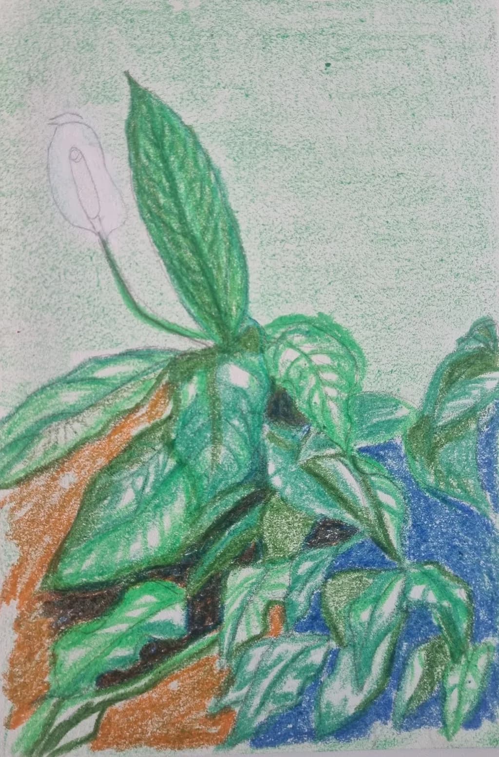 Leafy Flower Study