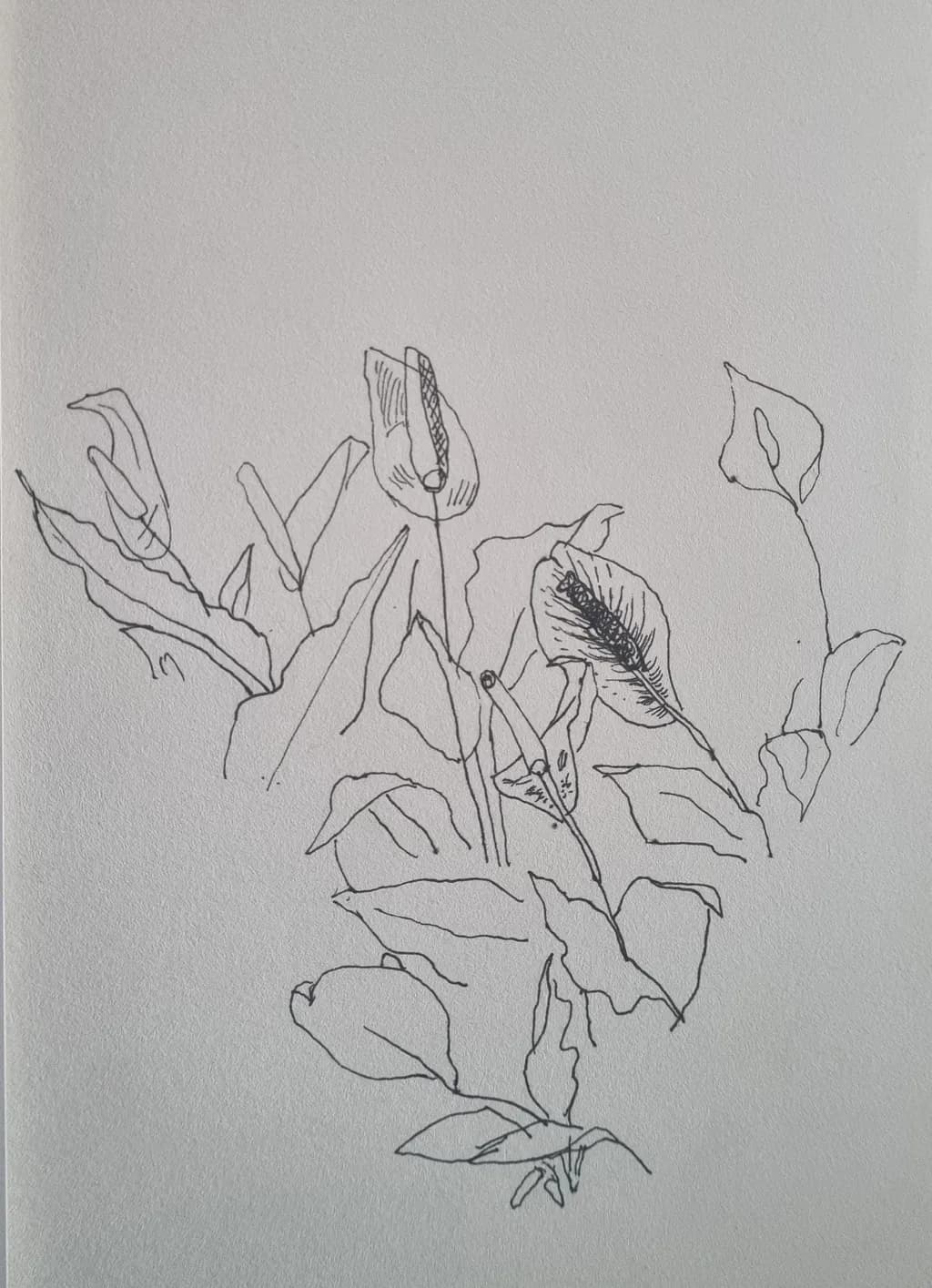 Botanical Study