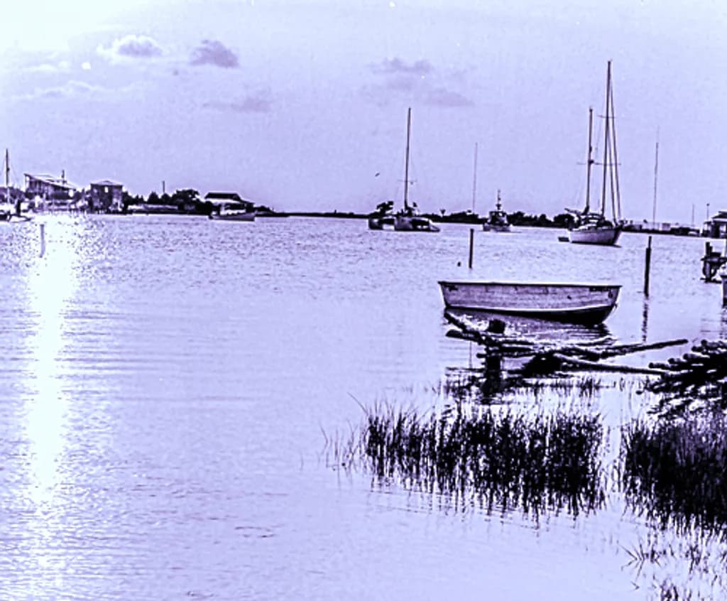 Harbor Boats