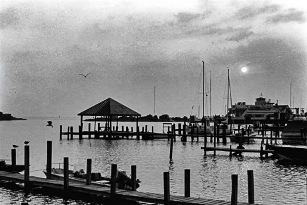 Moonlit Marina