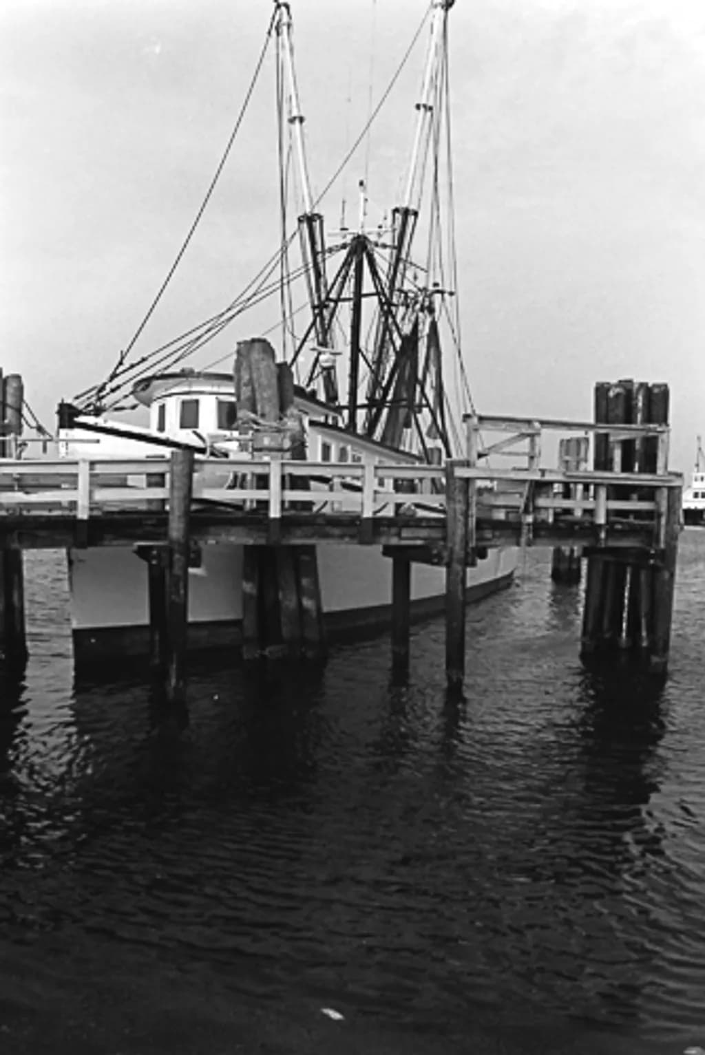 Fishing Boat Dock