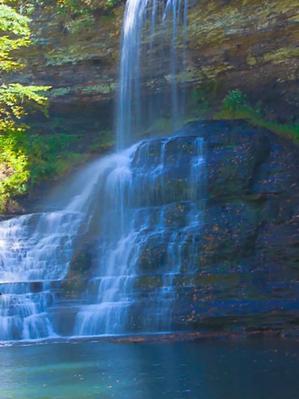 Cascading Forest Waterfall