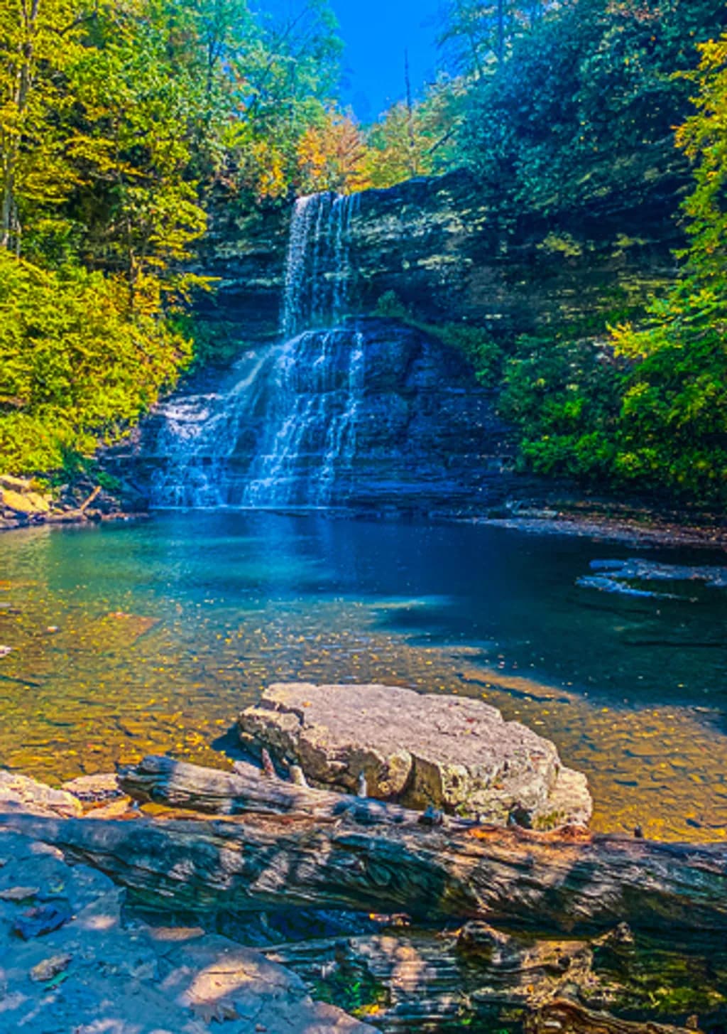 Forest Waterfall Pool
