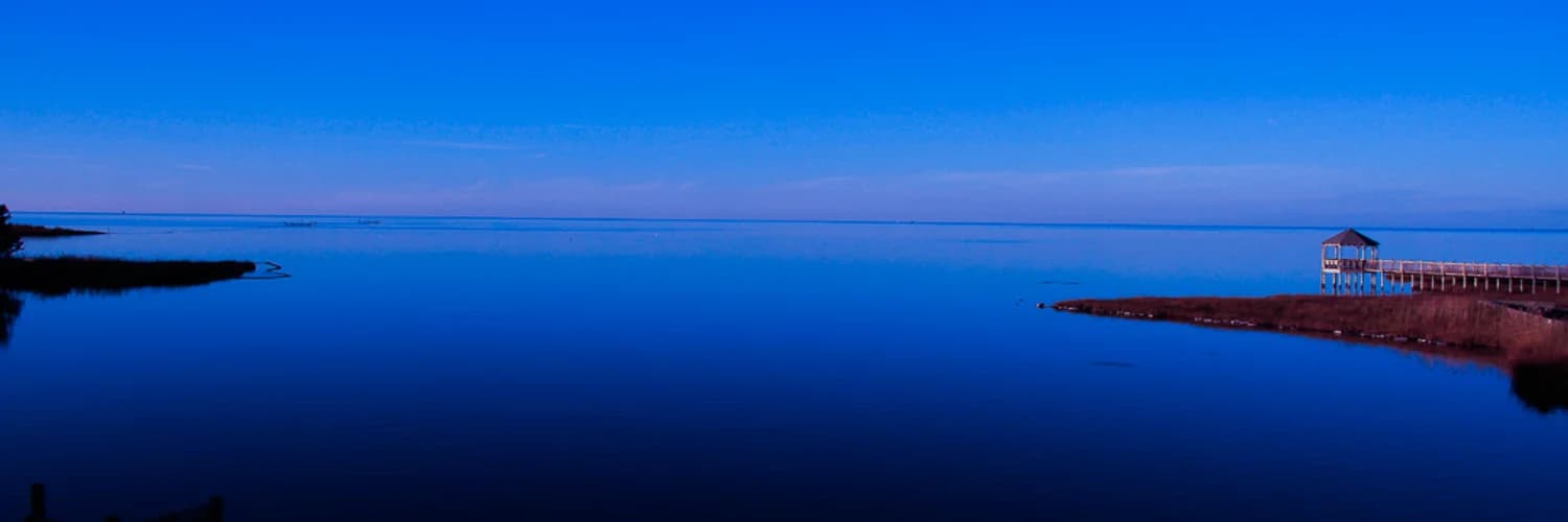 Profile banner