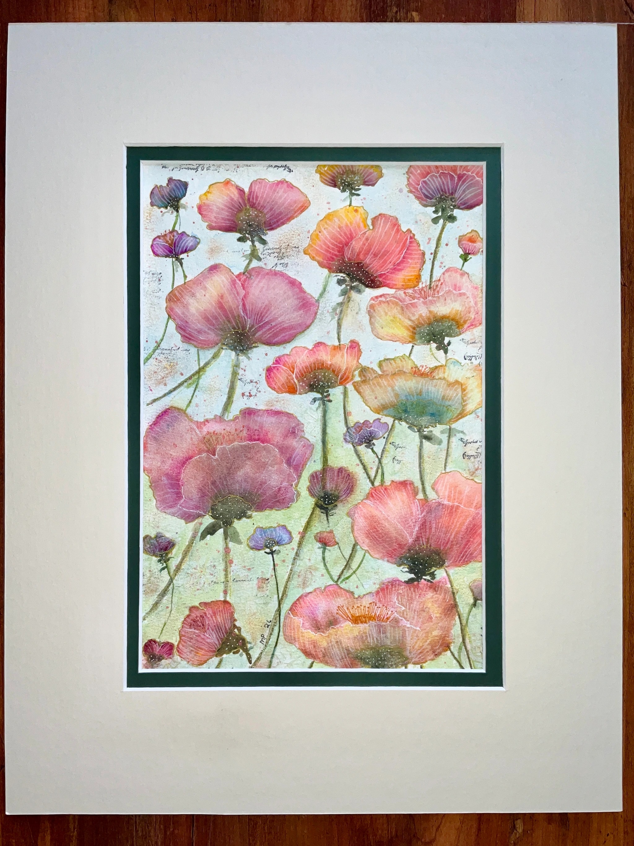 Poppy Garden Study
