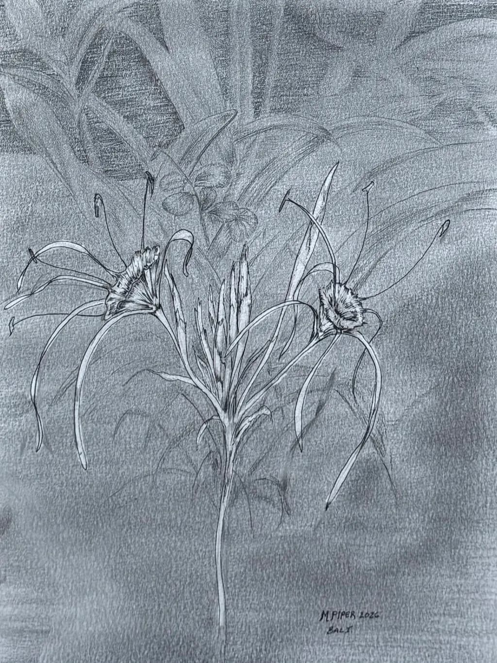 Botanical Bloom Study