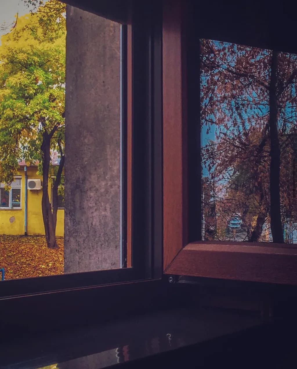 Window Framed Autumn Trees