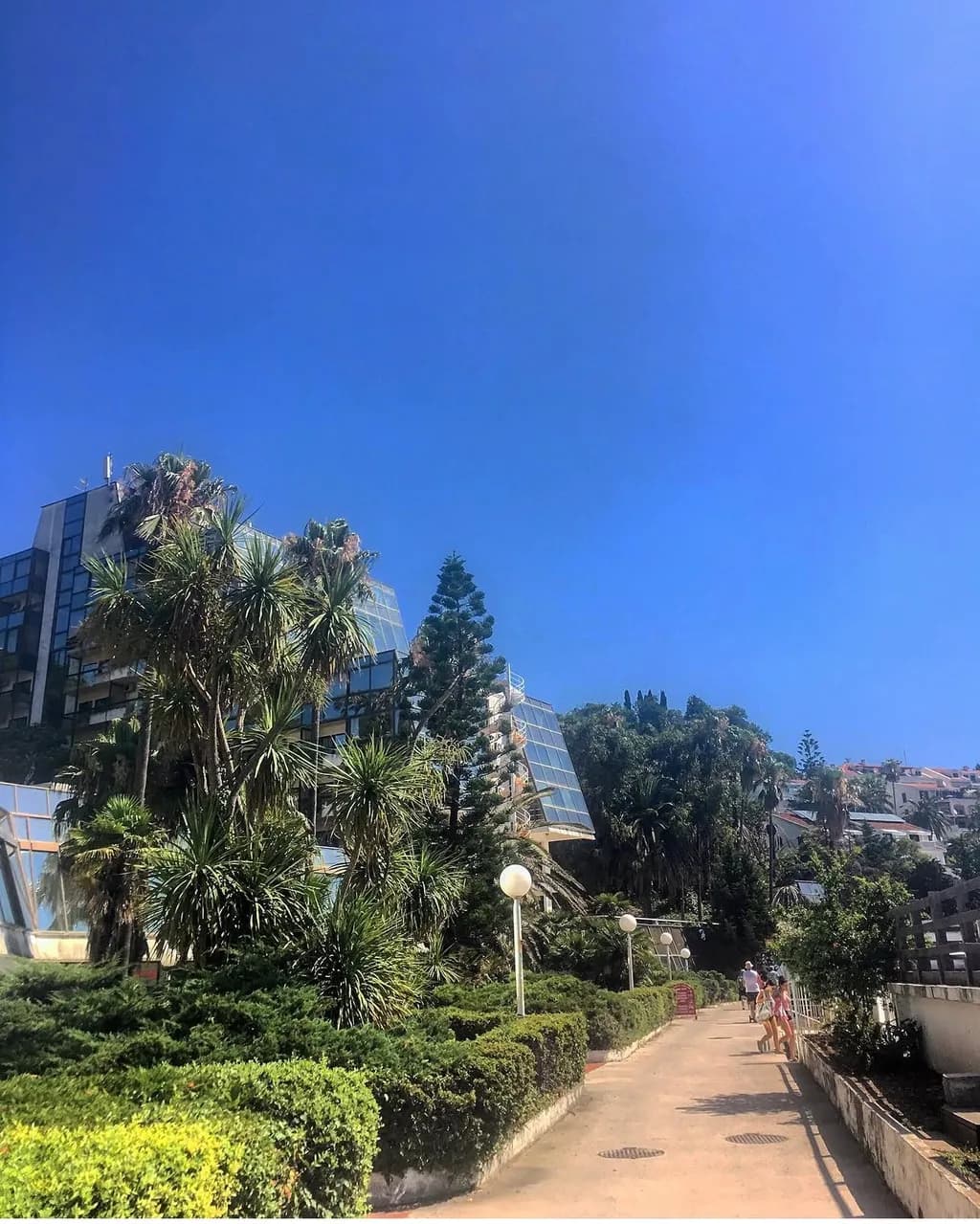 Palm Garden Walk