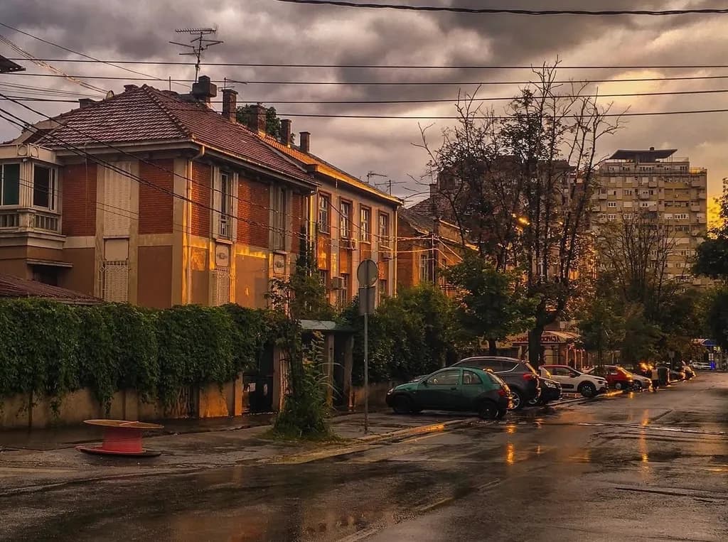 Rainlit City Street
