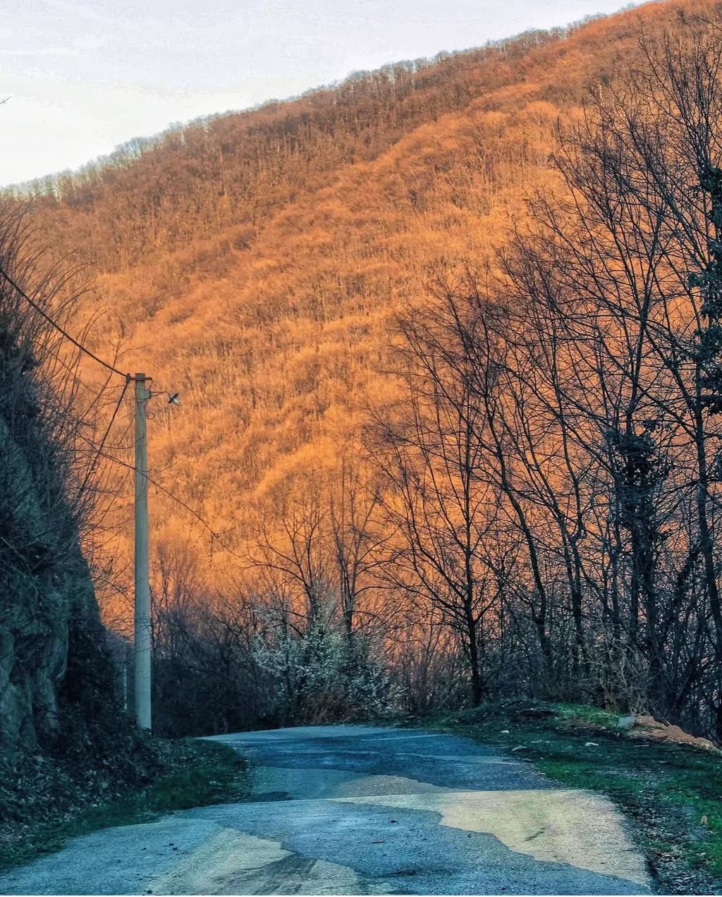 Autumn Mountain Road