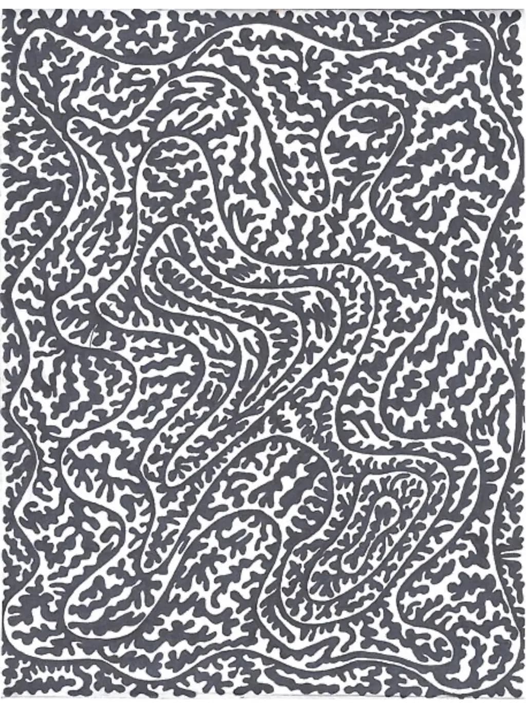 Monochrome Paisley Maze