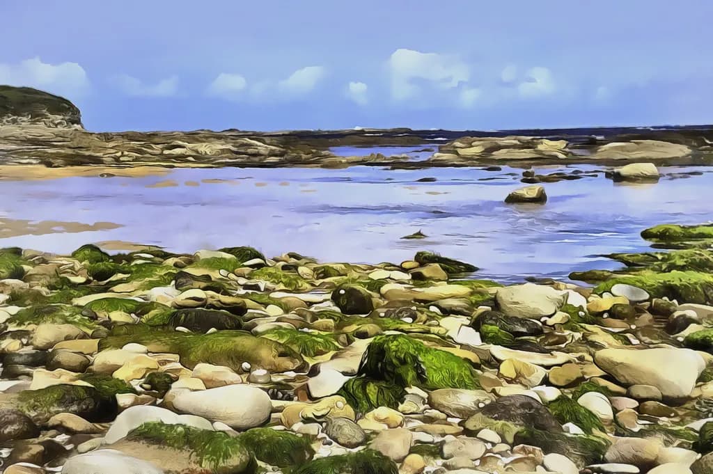Coastal Kaleidoscope