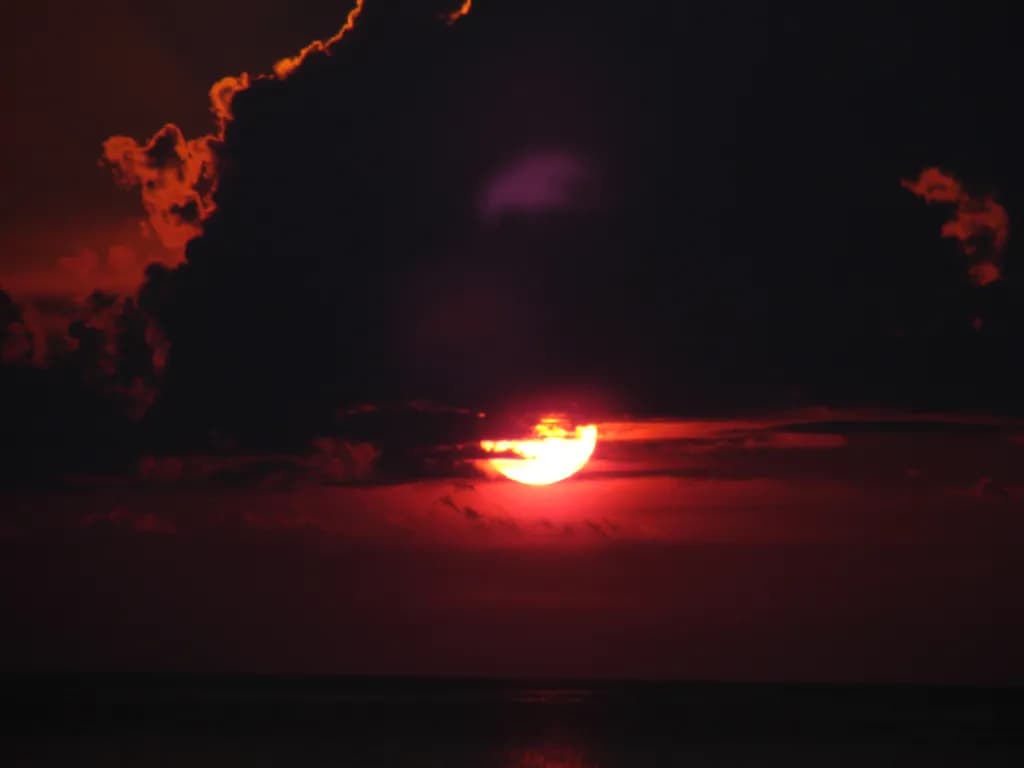Image du post 4