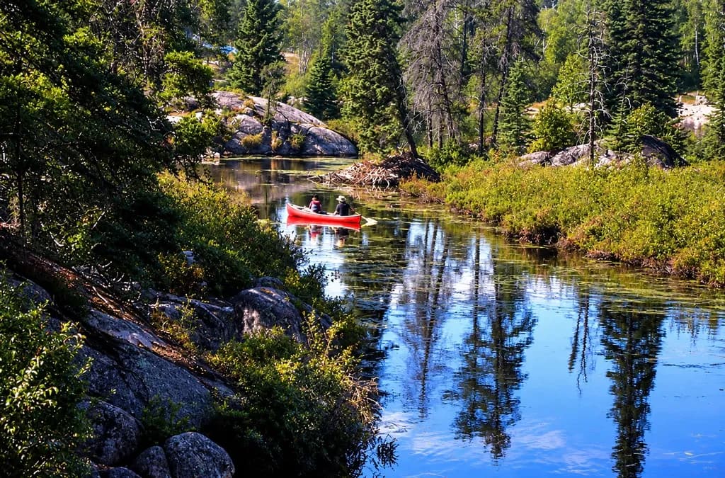 Imagen del post 1