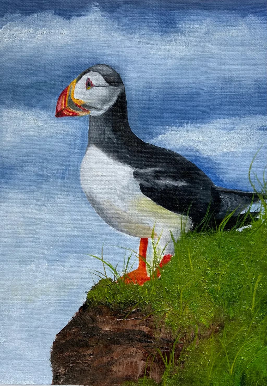 Puffin on the Coastal Cliff