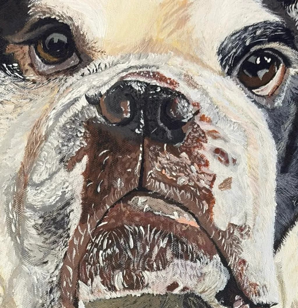 Bulldog Portrait