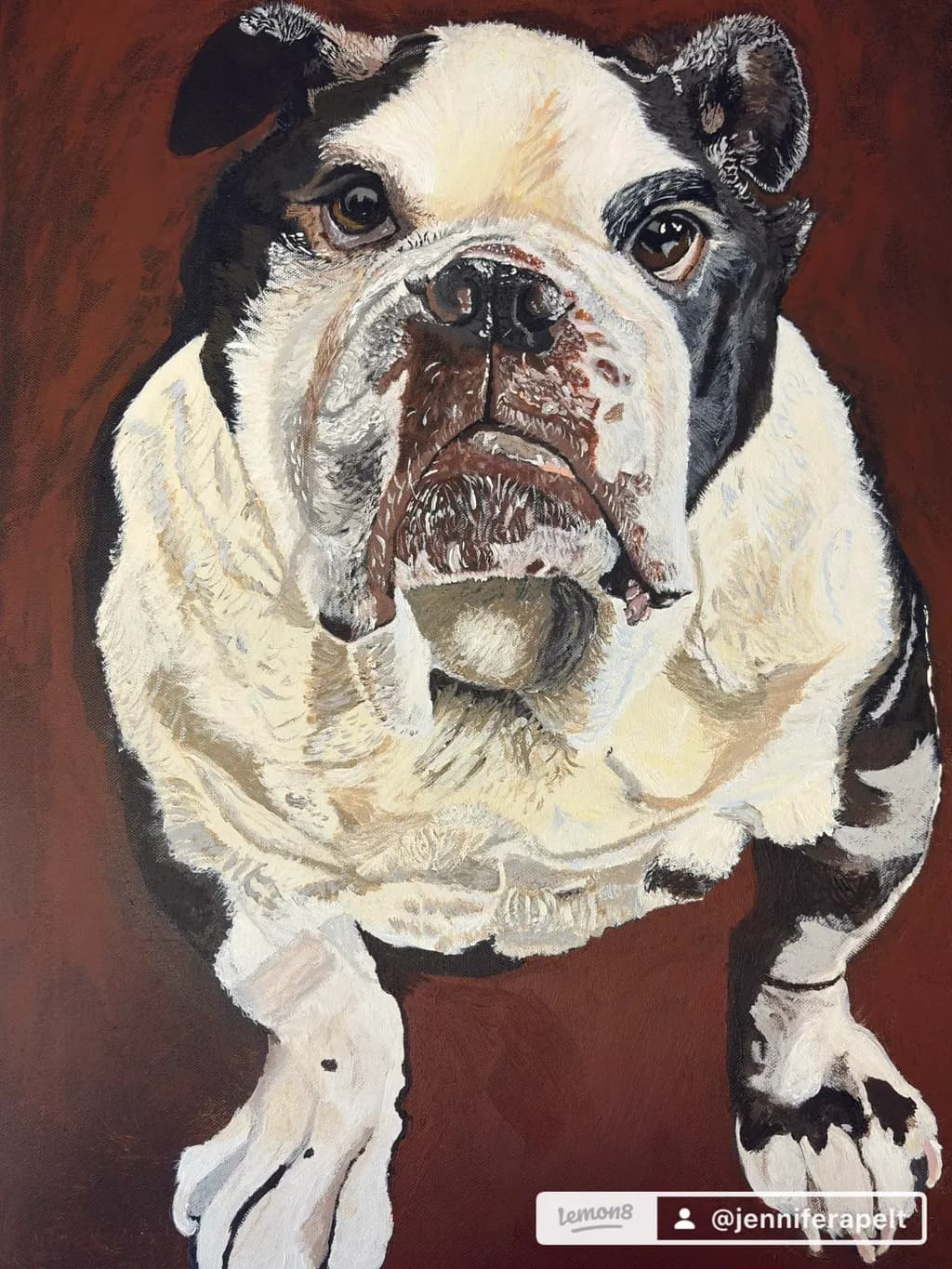 Bulldog Portrait