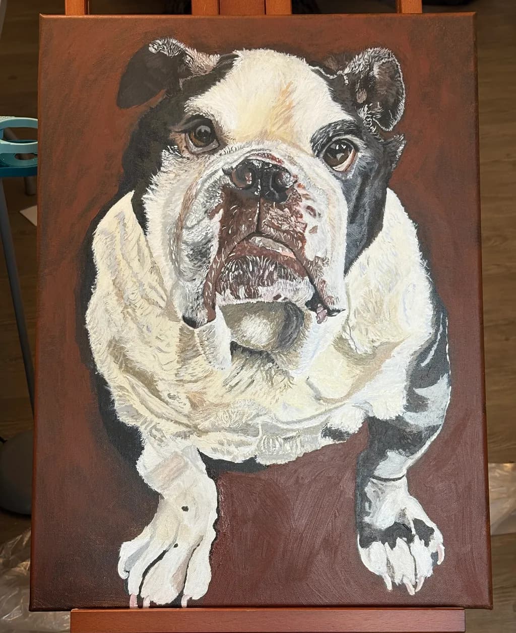 Bulldog Portrait in Brown