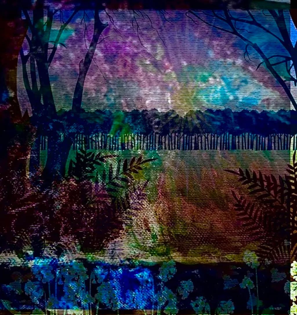 Glowing Night Forest
