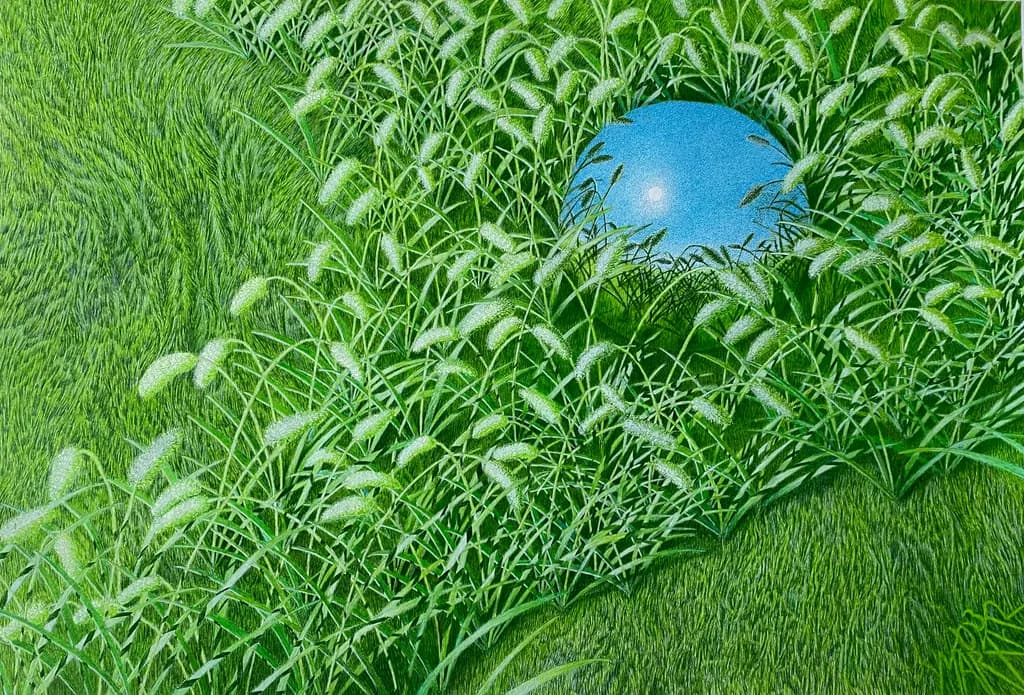 Mirrored Orb in the Grass