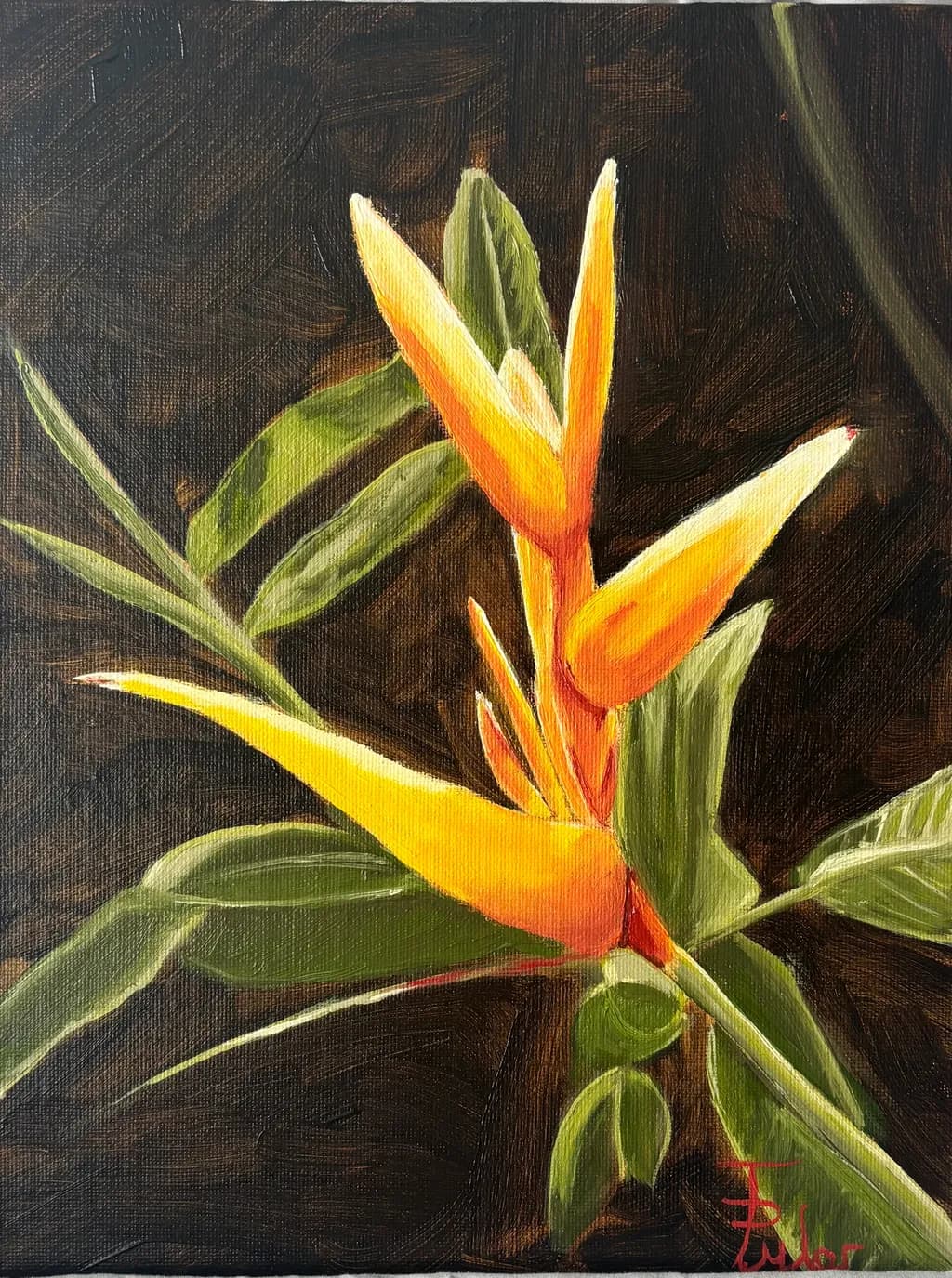 Bird of Paradise Bloom