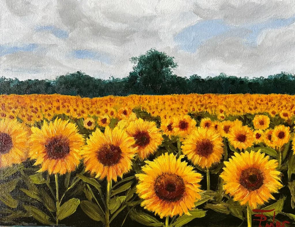 Sunflower Field