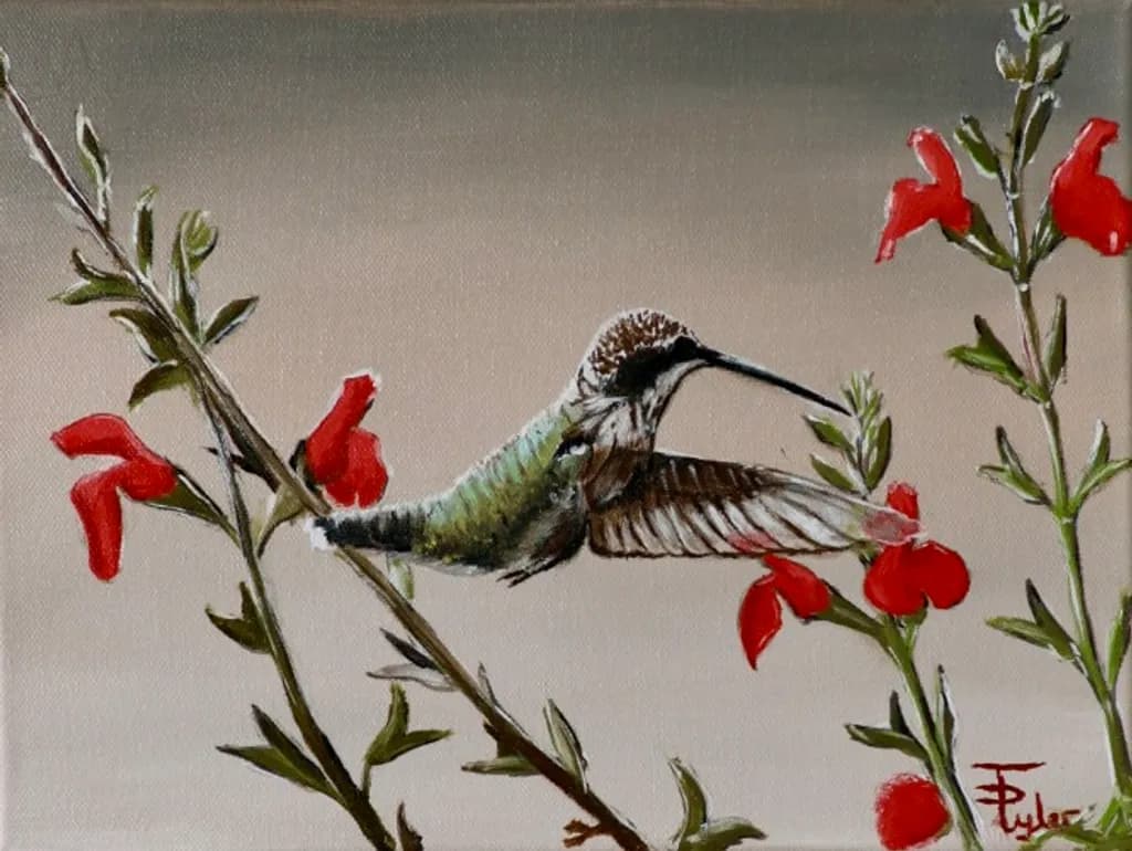 Hummingbird Among Scarlet Blooms