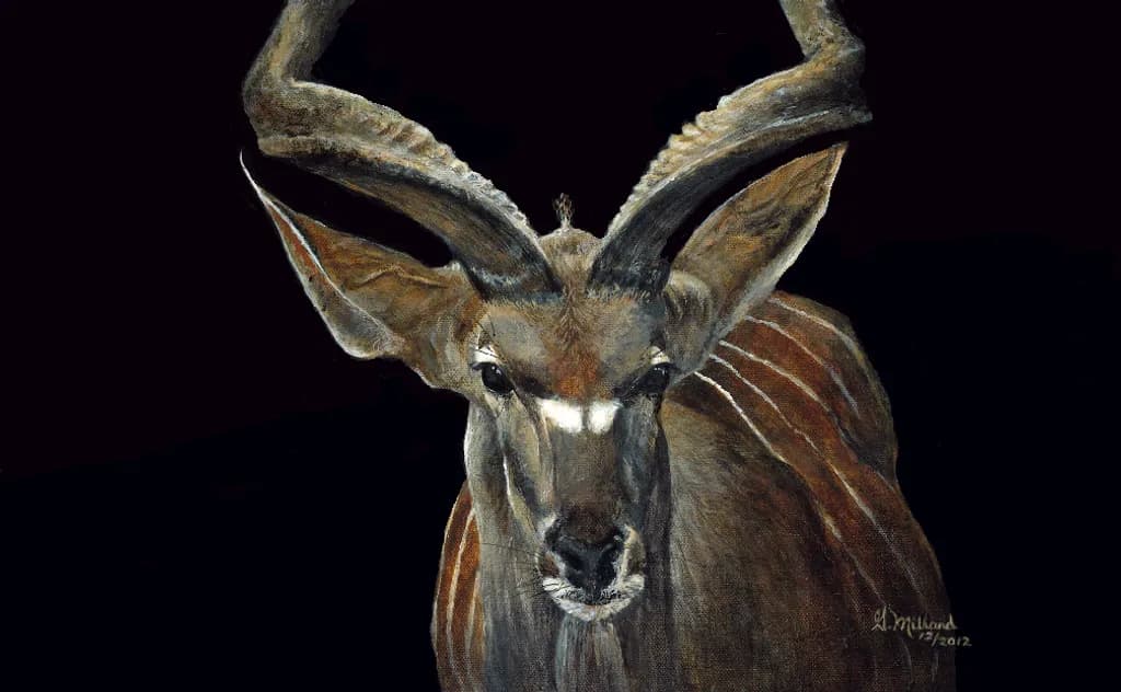 Kudu Portrait