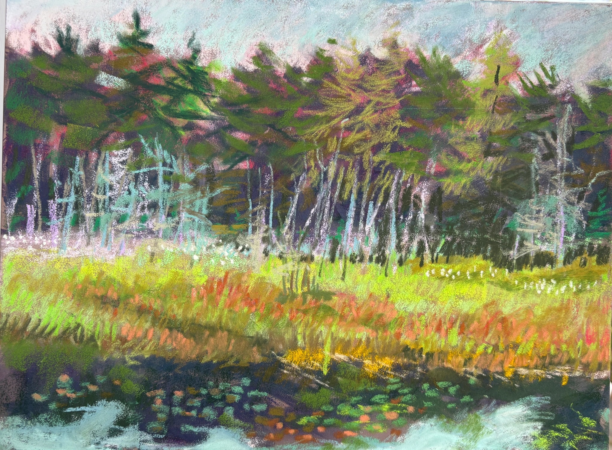 Forest Meadow Reflections