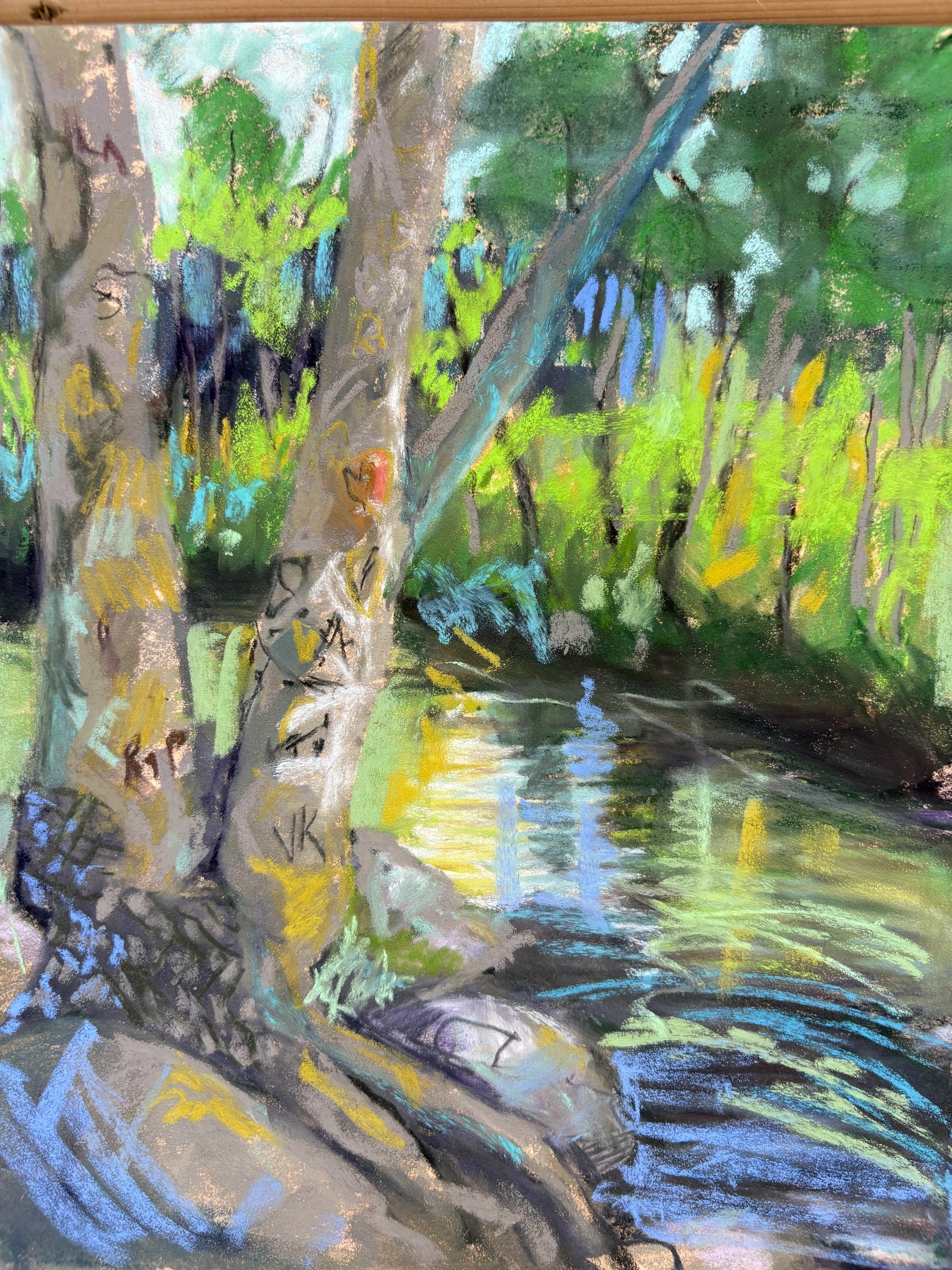 Sunlit Woodland Creek