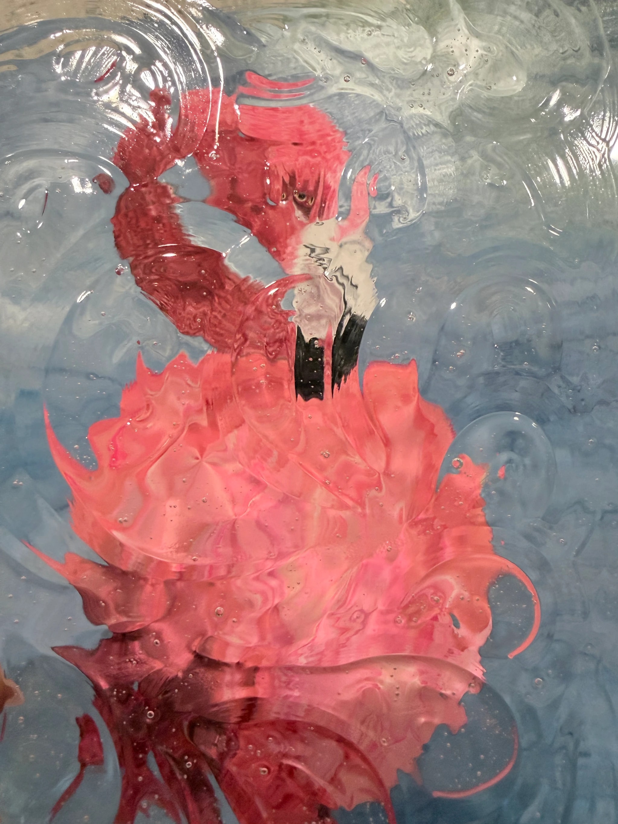 Red Octopus Reflections