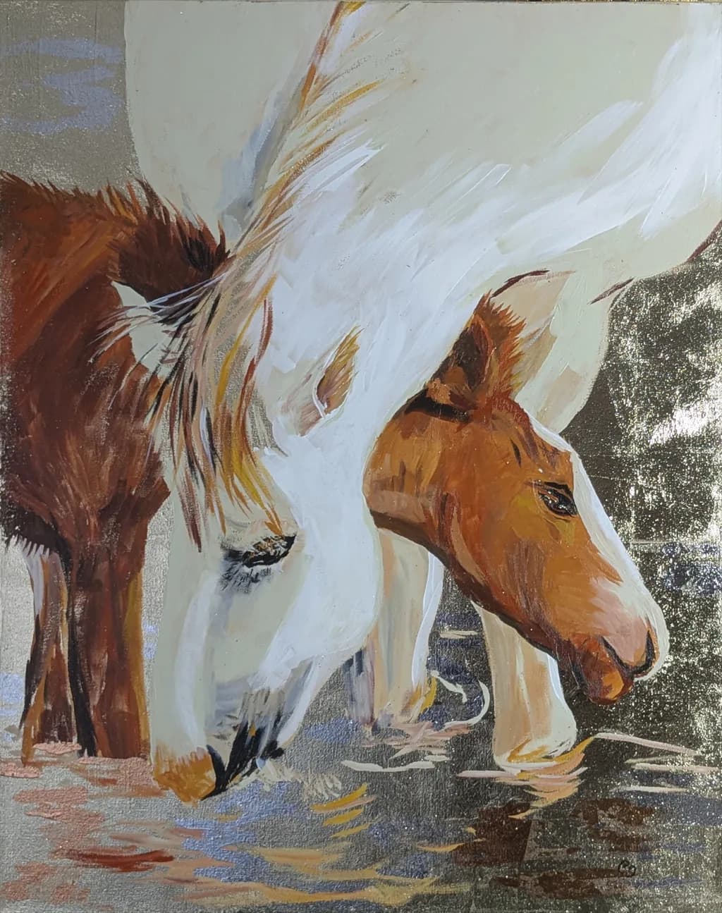 Salt River Wild Horses