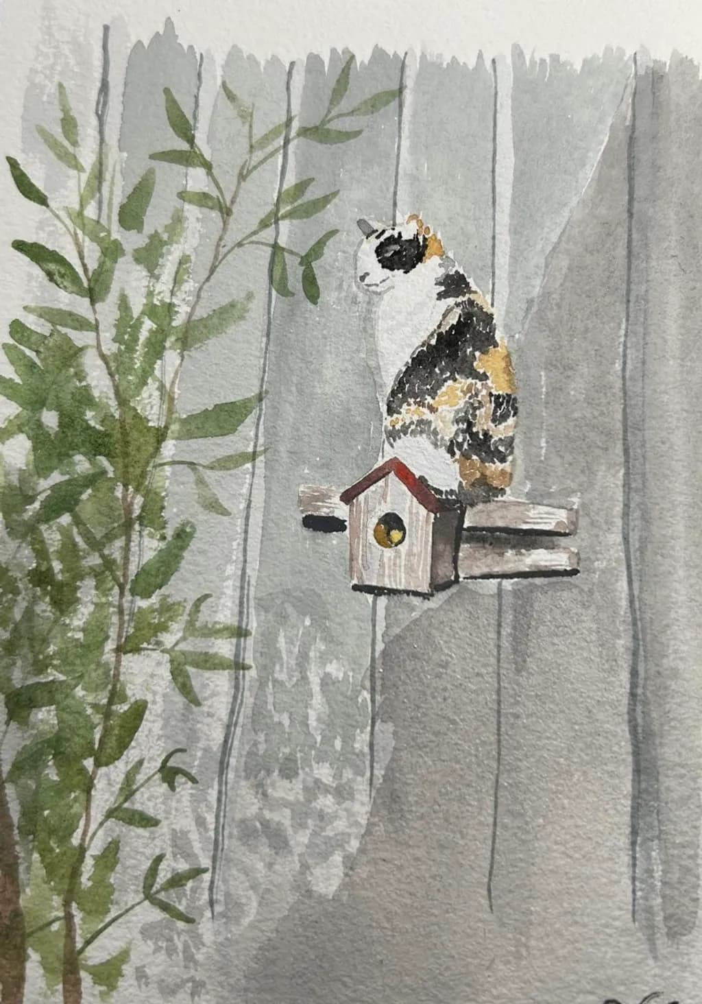 Calico cat on a Birdhouse