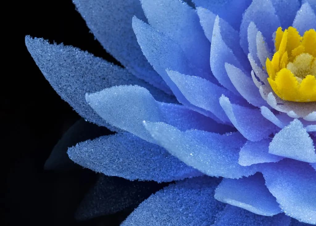 Amethyst Lotus detail