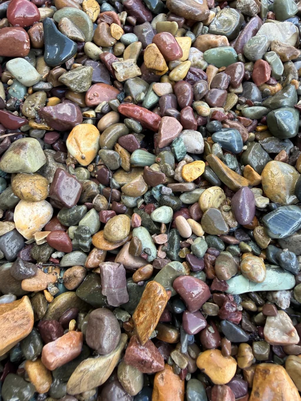 River Pebble Mosaic