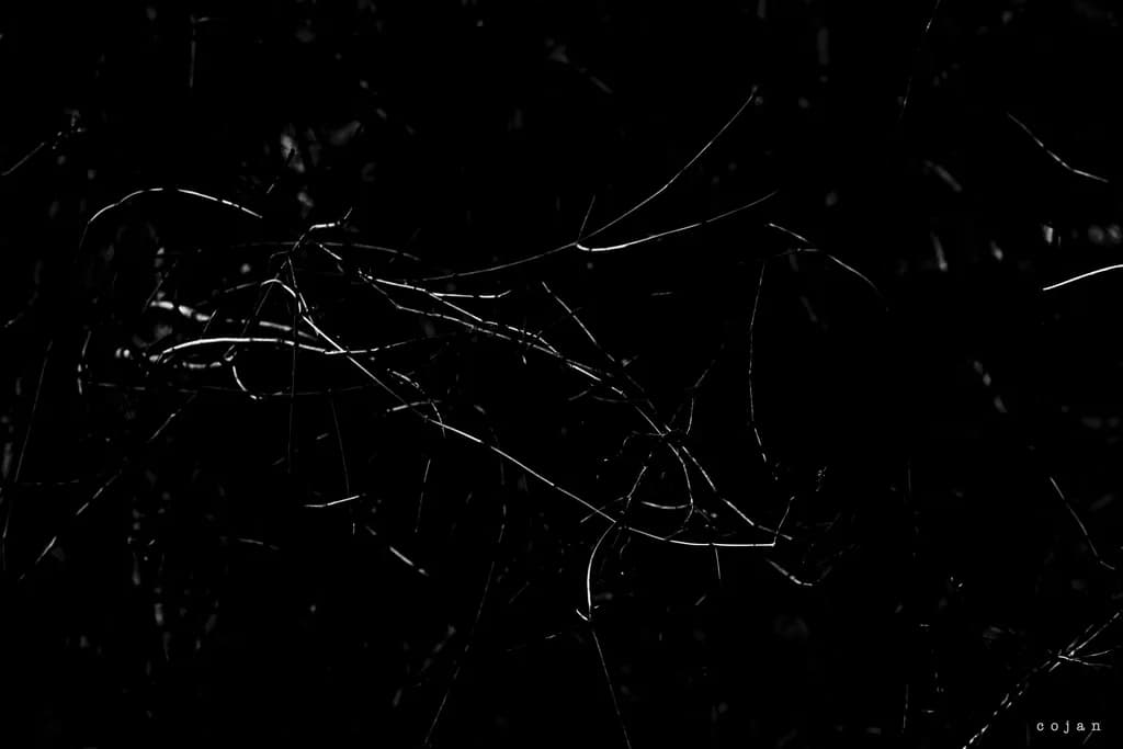 "Abstract" - 1