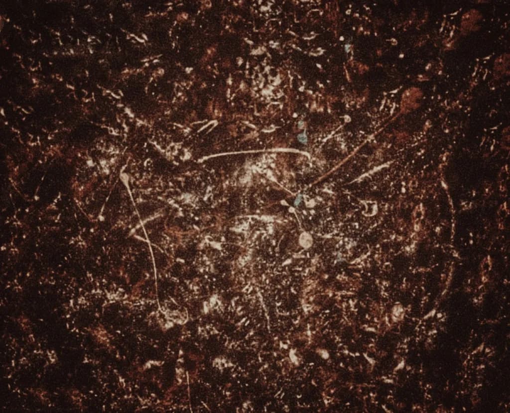 Cosmic Copper Patina