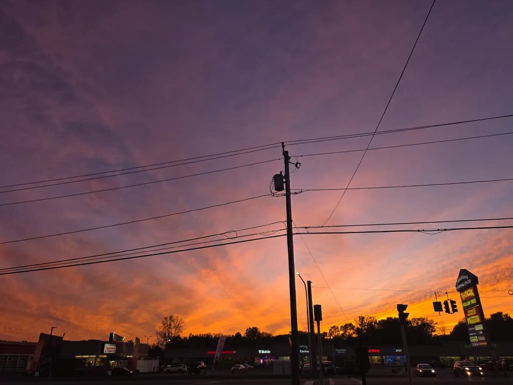 Arterial Sunburst