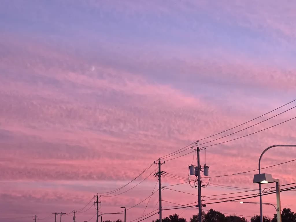 Cotton Candy