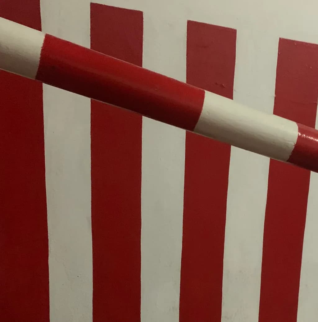 Diagonal Barrier Stripes