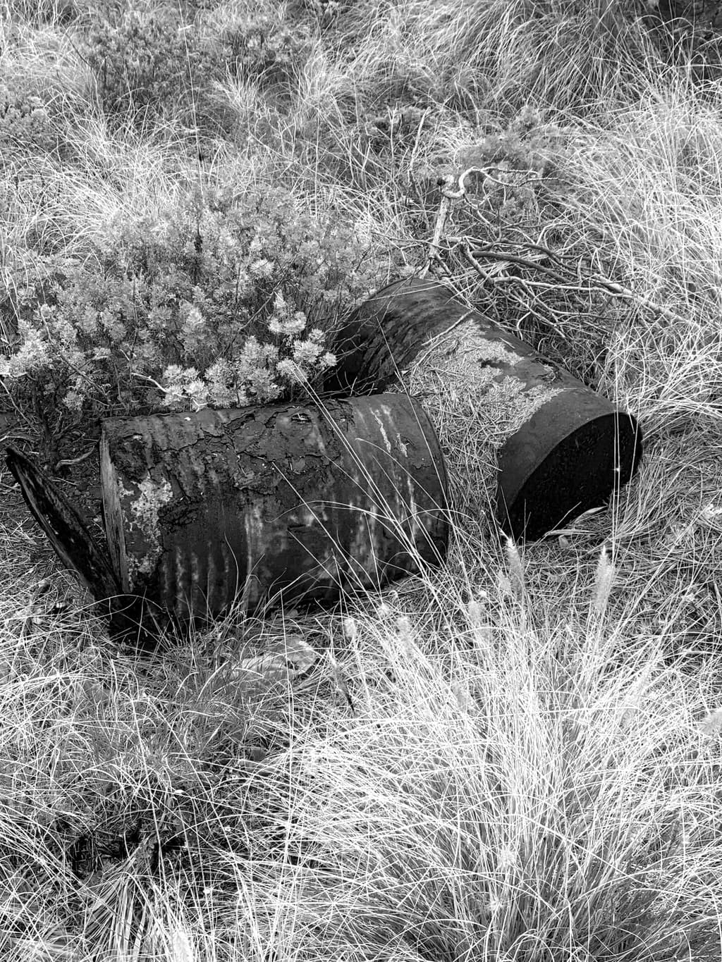 Weathered Barrels in Grassland