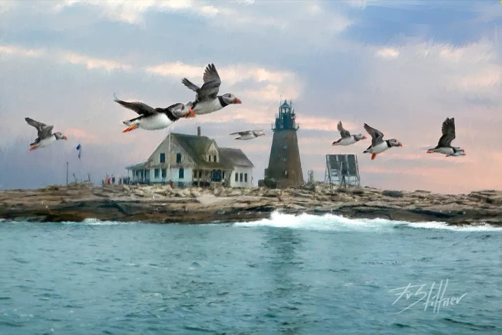 Puffins Over Mount Desert Rock Light