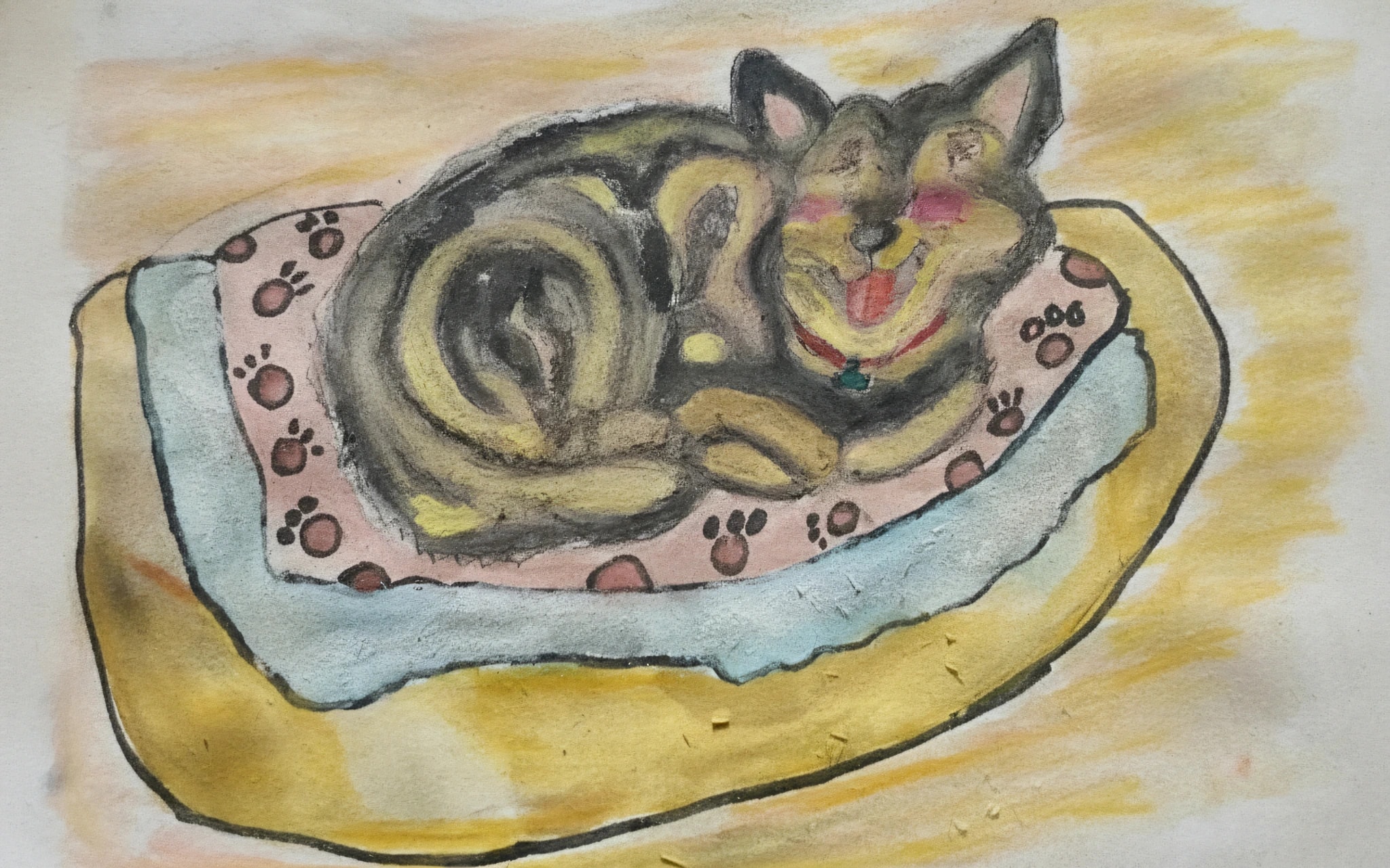 Cushion Catnap