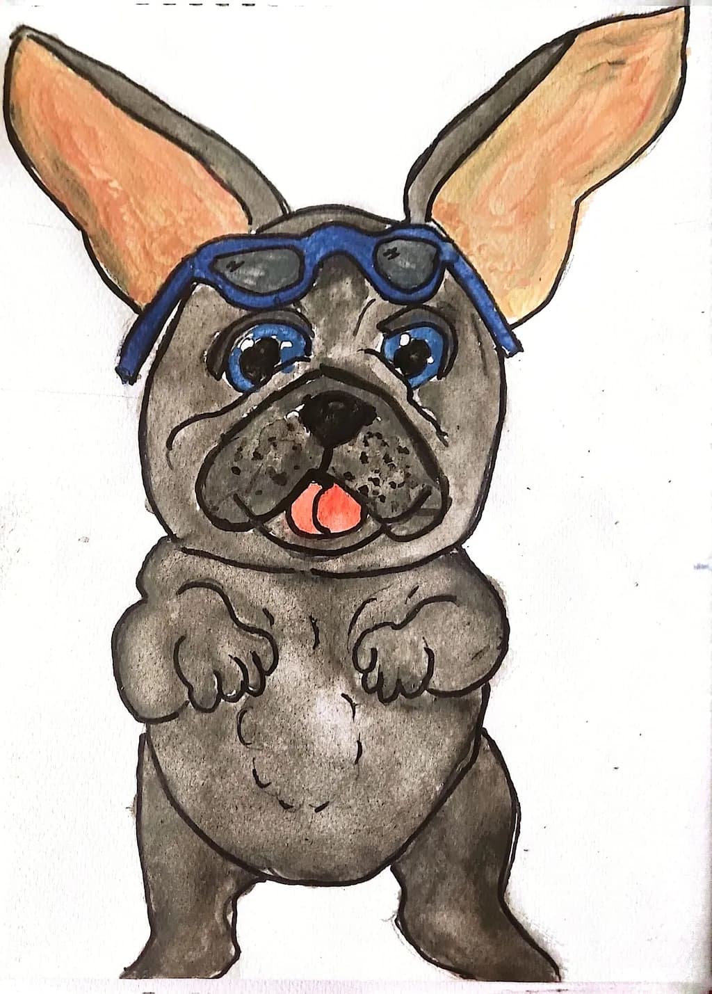 Blue-Goggled Bulldog